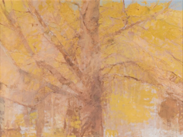 Maple, Amber Light and Snow by Annie Harris Massie at Les Yeux du Monde Gallery
