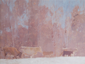 Charolais, in the Snow by Annie Harris Massie at Les Yeux du Monde Gallery