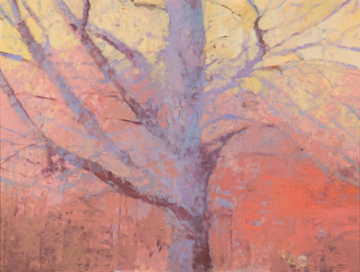 Dusk Maple, Warm February Afternoon by Annie Harris Massie at Les Yeux du Monde Gallery