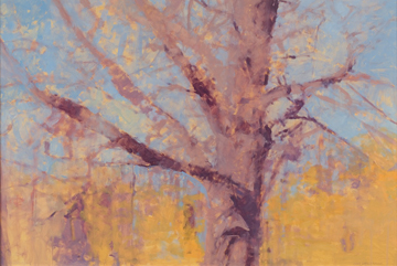 Maple in the Broom Straw Field by Annie Harris Massie at Les Yeux du Monde Gallery